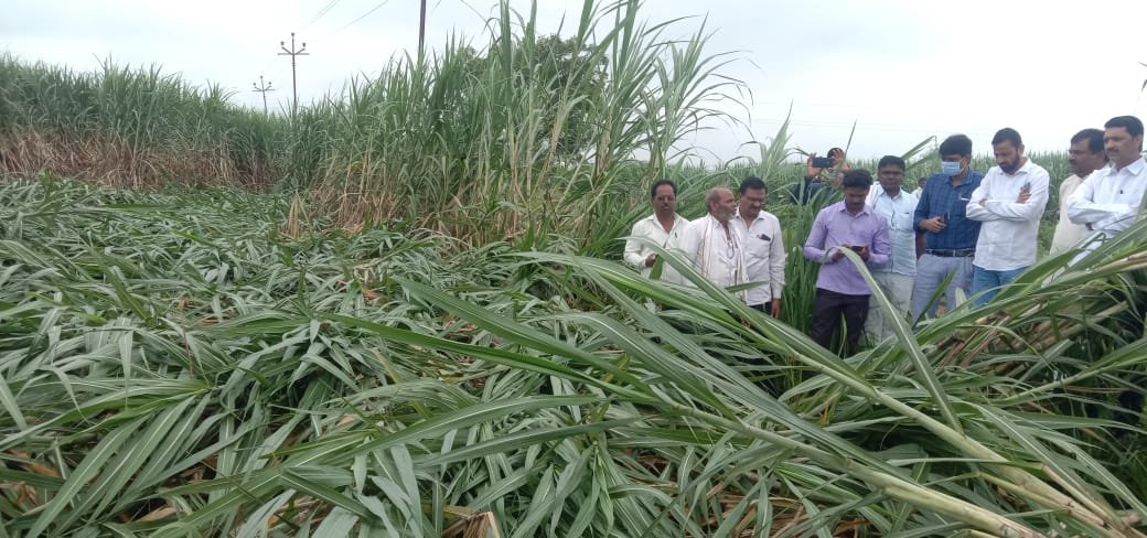 fcf6deca-312a-4091-bb69-d07e7ad34c08