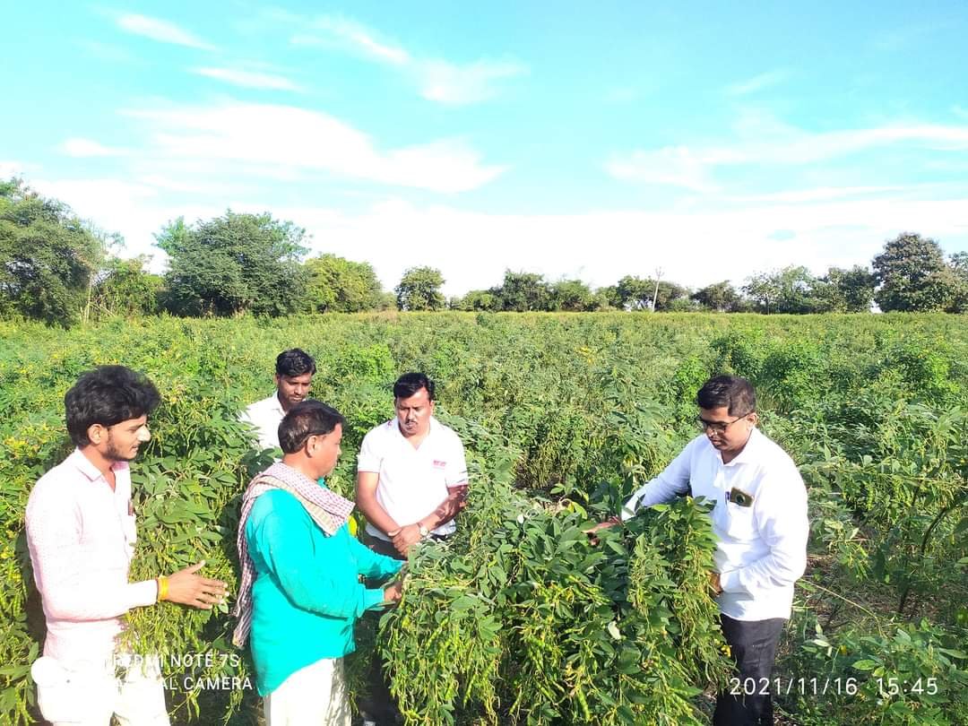 FB_IMG_1637065720617