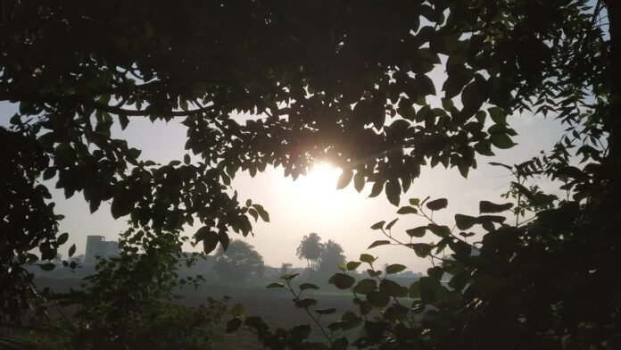 IMG-20220714-WA0023