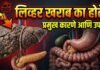लिव्हर कशामुळे खराब होतो ? जाणून घ्या कारणे