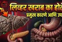 लिव्हर कशामुळे खराब होतो ? जाणून घ्या कारणे