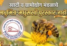 खादी व ग्रामोद्योग मंडळाचे मधुमित्र-मधुसखी पुरस्कार जाहीर